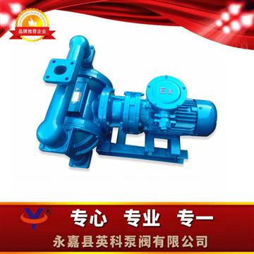 316L不鏽鋼電動隔膜泵